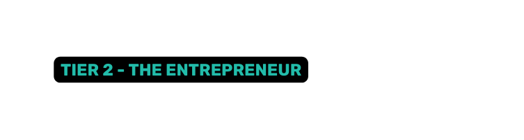 TIER 2 THE ENTREPRENEUR